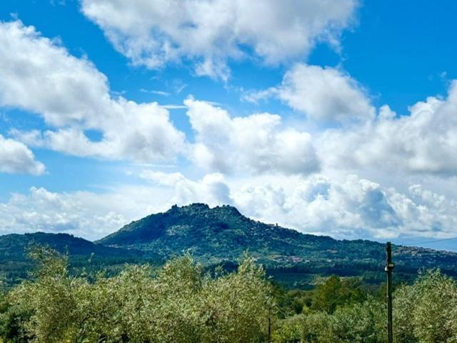 Zion Jardim Monsanto Bed & Breakfast Bagian luar foto