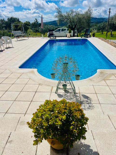 Zion Jardim Monsanto Bed & Breakfast Bagian luar foto