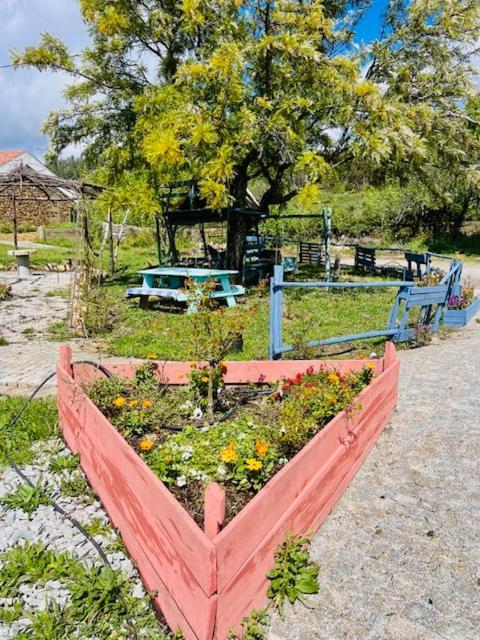 Zion Jardim Monsanto Bed & Breakfast Bagian luar foto