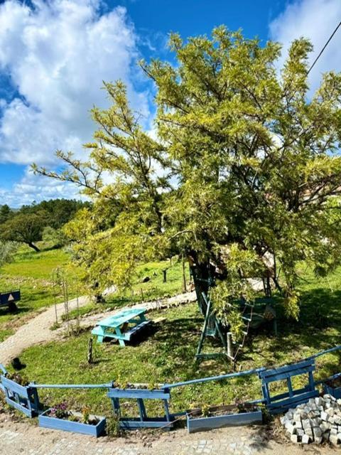 Zion Jardim Monsanto Bed & Breakfast Bagian luar foto
