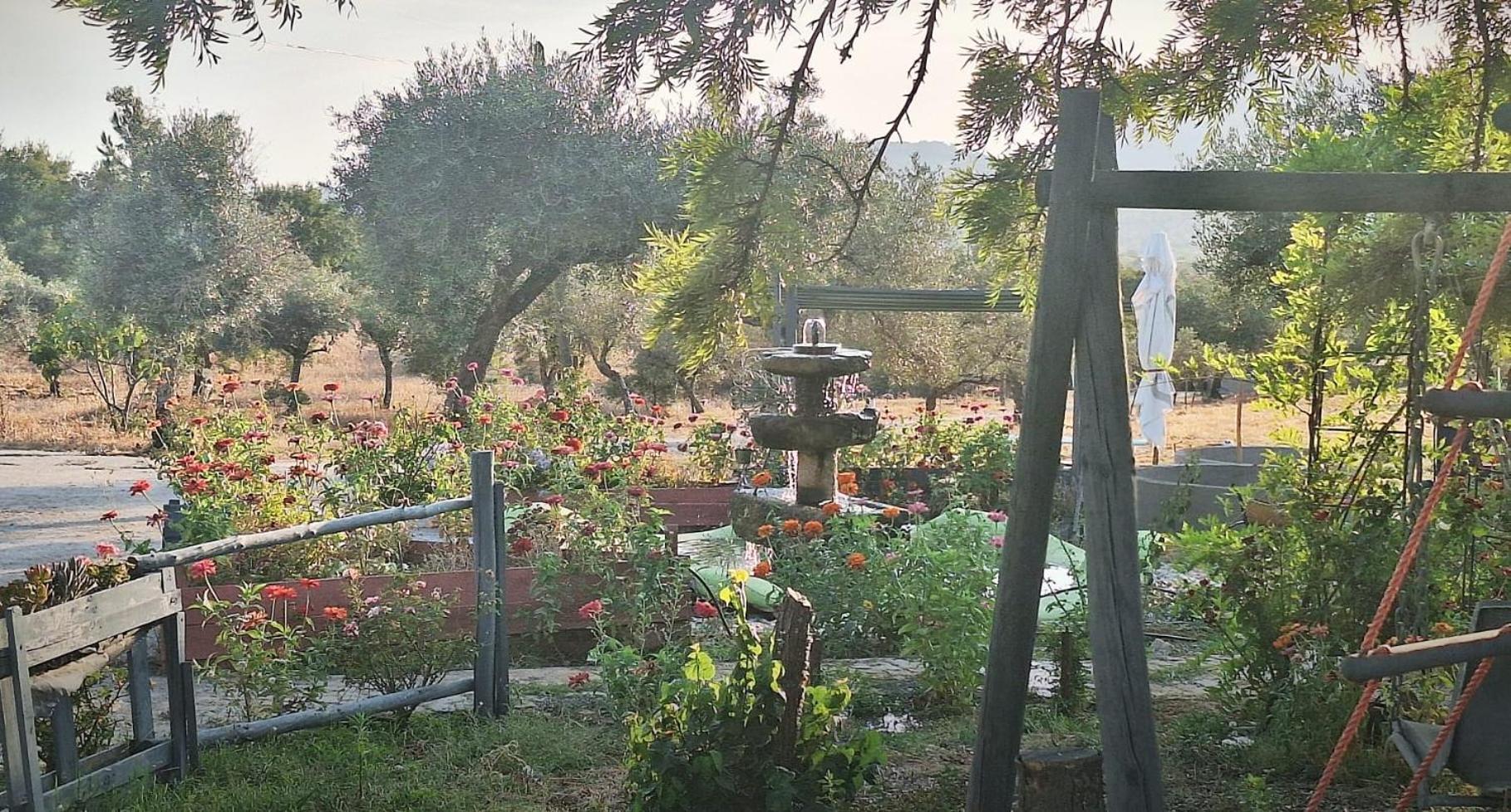 Zion Jardim Monsanto Bed & Breakfast Bagian luar foto